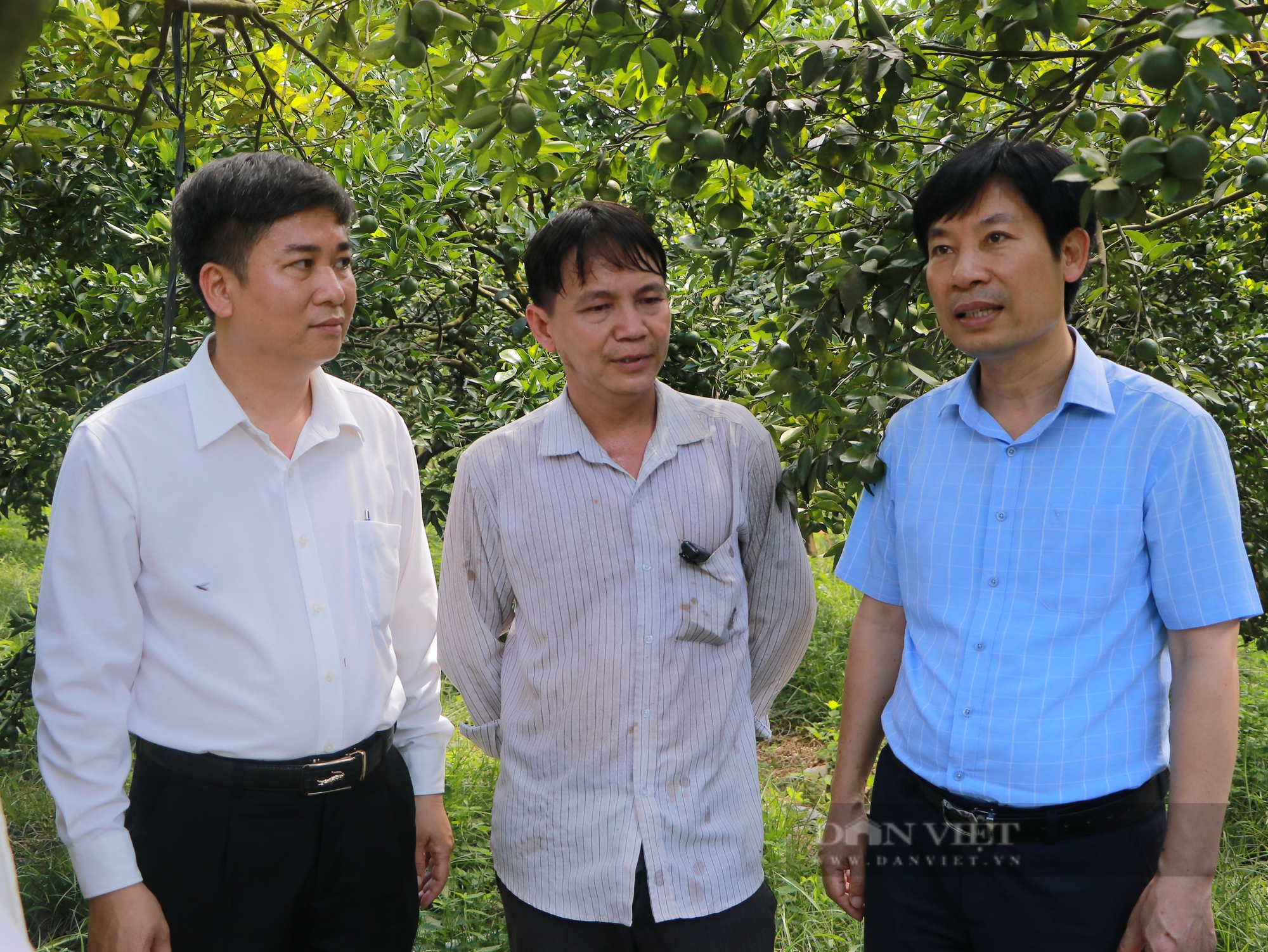 Phó chủ tịch TƯ Hội Nông dân Việt Nam Nguyễn Xuân Định thăm các mô hình trồng cây ăn trái tại Bình Phước - Ảnh 4.
