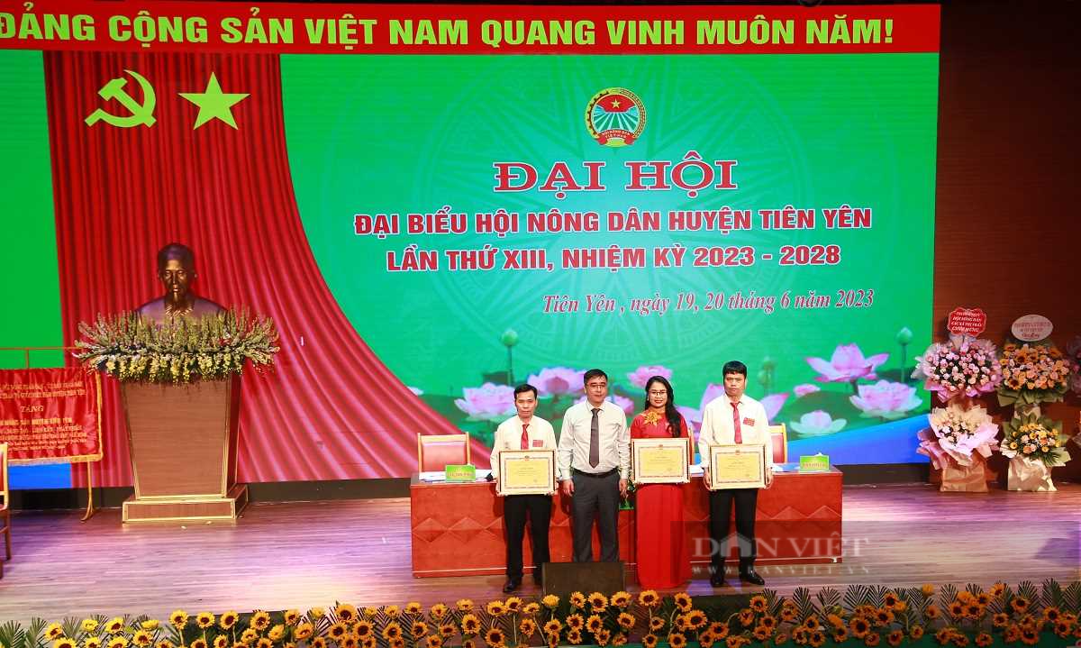 Ông Lý Văn Diểng tái đắc cử Chủ tịch Hội Nông dân huyện Tiên Yên - Ảnh 4.