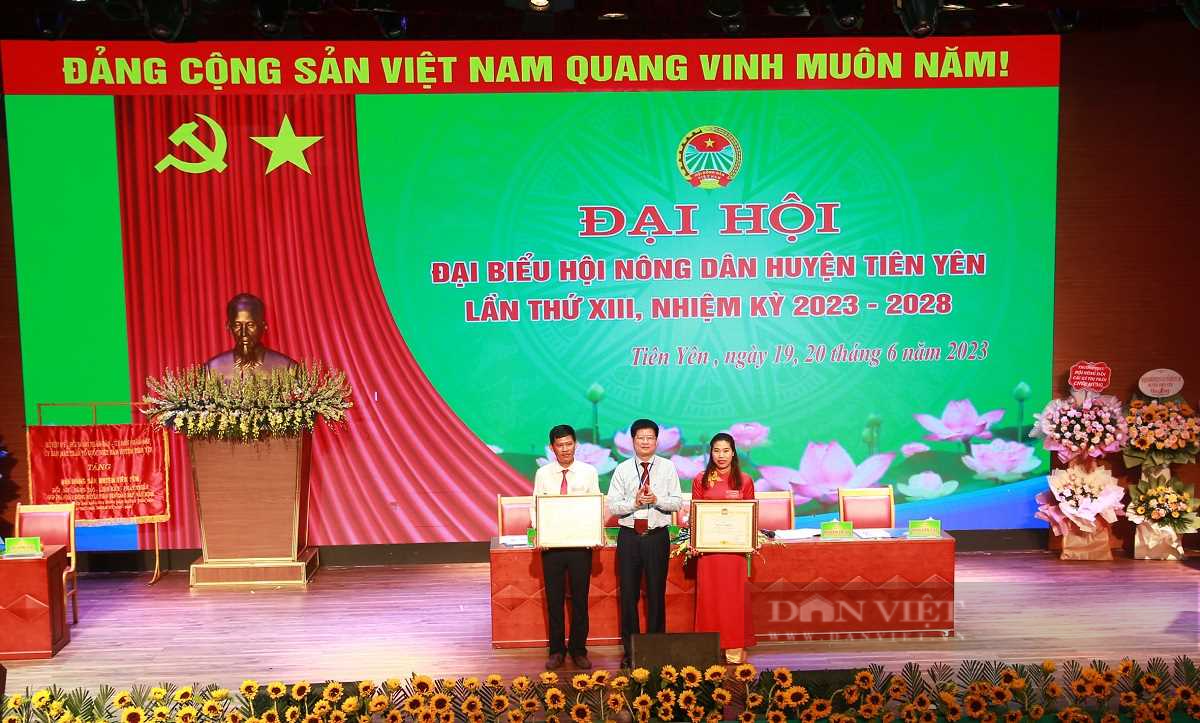 Ông Lý Văn Diểng tái đắc cử Chủ tịch Hội Nông dân huyện Tiên Yên - Ảnh 5.