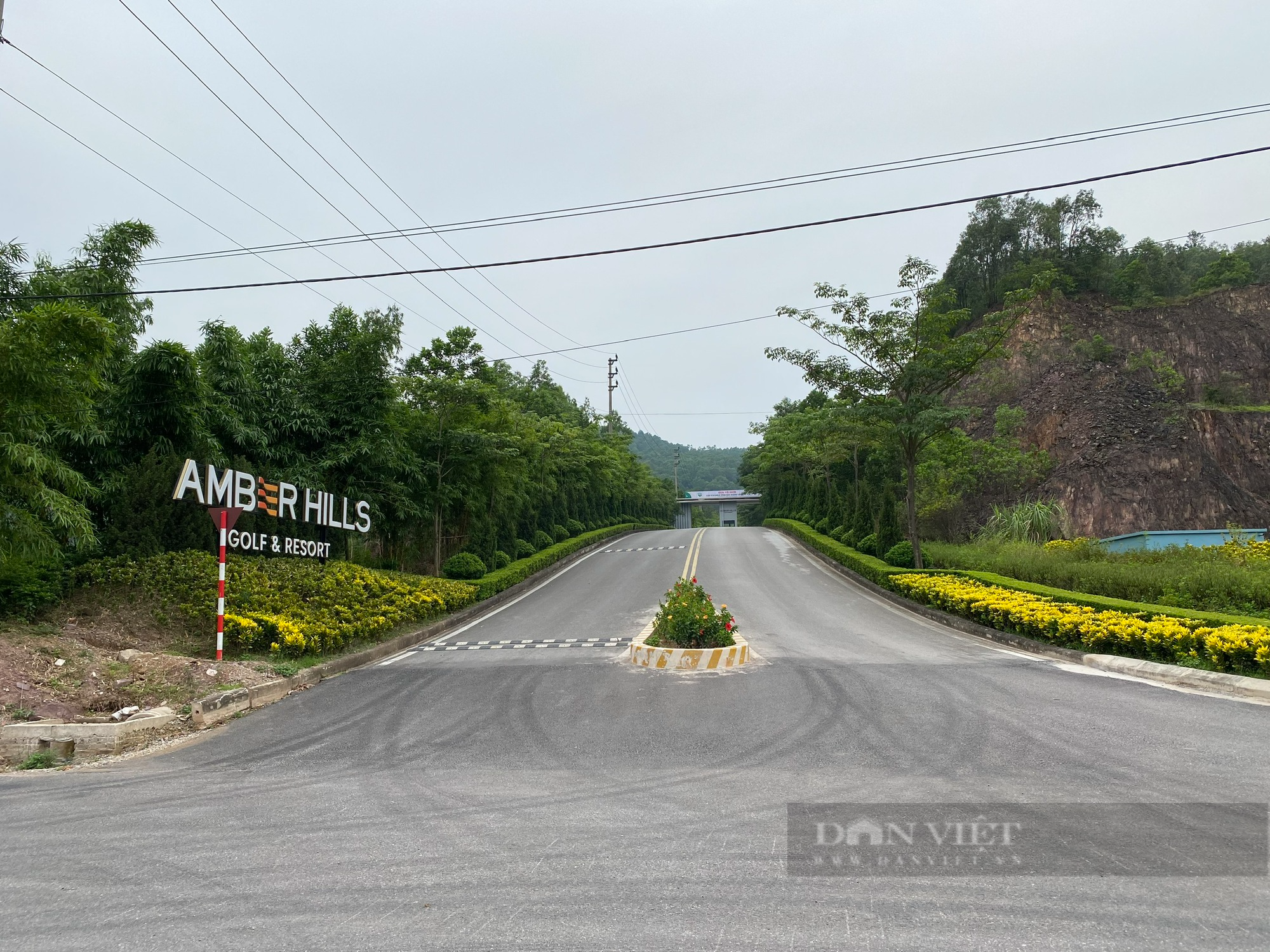 Bắc Giang: Đề xuất chuyển đổi 85,7ha đất rừng sản xuất để làm sân golf Yên Dũng - Ảnh 1.