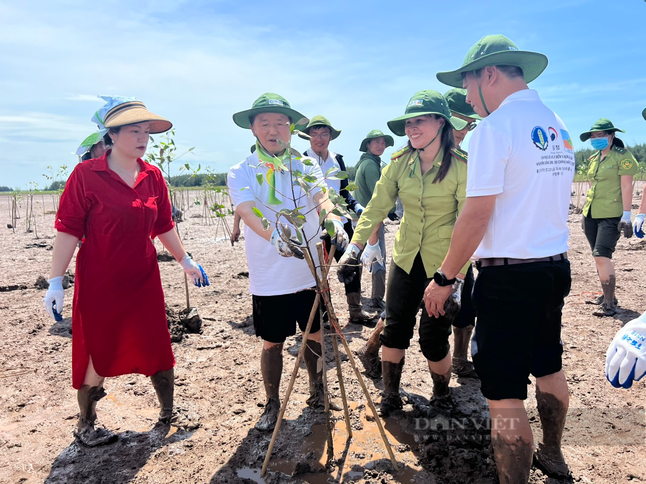 Bộ trưởng Cơ quan Lâm nghiệp Hàn Quốc lội bùn trồng rừng ngập mặn tại Ninh Bình - Ảnh 3.