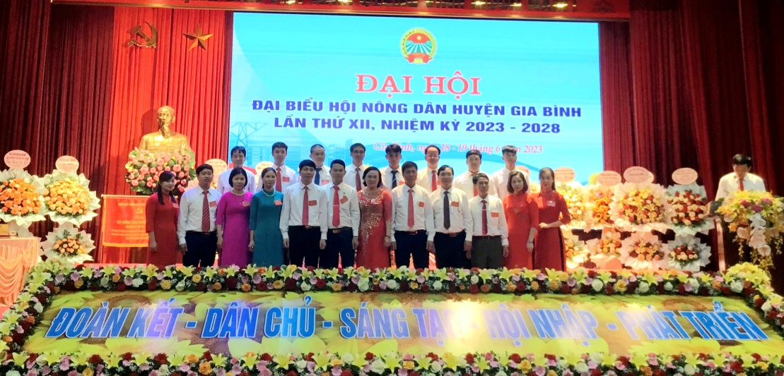 100% Hội Nông dân cấp huyện ở Bắc Ninh tổ chức thành công Đại hội - Ảnh 3.