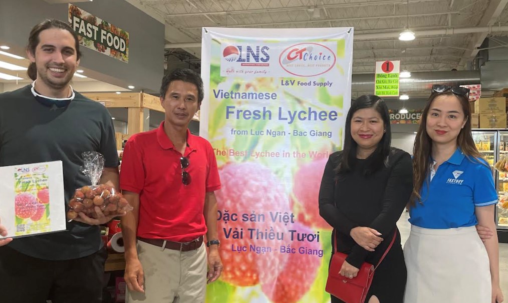 Vải thiều Bắc Giang chính thức có mặt tại các siêu thị, chợ châu Á ở thành phố lớn thứ tư nước Mỹ - Ảnh 1.