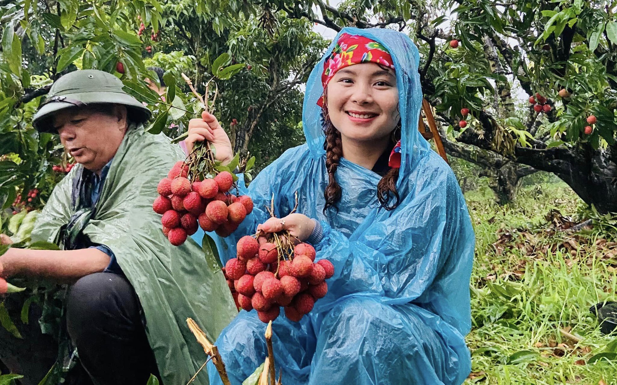 Tỉnh Bắc Giang mời 70 người có ảnh hưởng lớn trên mạng xã hội trải nghiệm hái vải thiều cùng người dân 