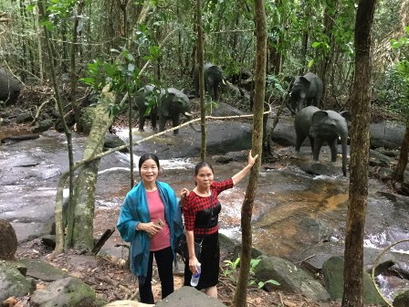 Một dòng suối đẹp ở Phú Quốc của Kiên Giang, các thác nước nhỏ bất chợt hiện ra, nhiều người tìm đến - Ảnh 2.