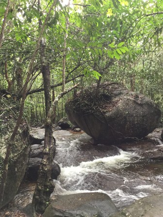 Một dòng suối đẹp ở Phú Quốc của Kiên Giang, các thác nước nhỏ bất chợt hiện ra, nhiều người tìm đến - Ảnh 4.