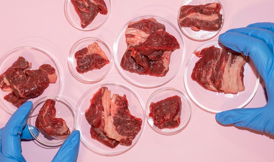 Phê duyệt loại thịt đầu tiên nuôi trong phòng thí nghiệm - Ảnh 1.