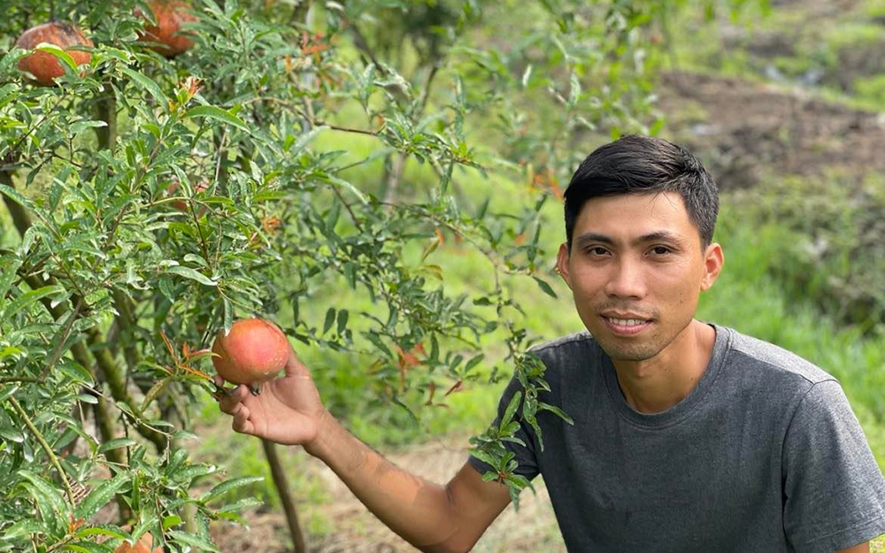 Trồng loại cây ra trái đỏ lủng lẳng, ruộng đẹp mê tơi, ai qua cũng ráng chụp hình, anh nông dân An Giang trúng