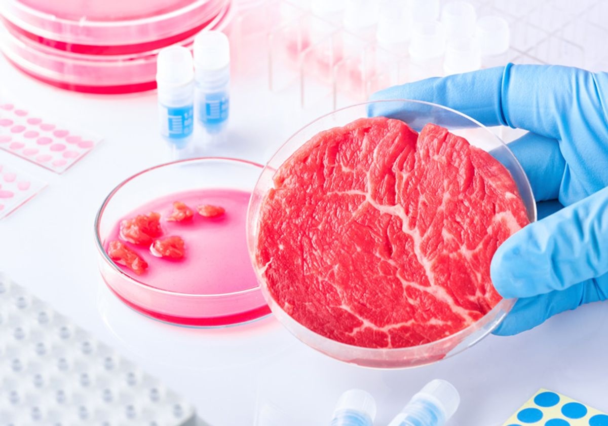 Phê duyệt loại thịt đầu tiên nuôi trong phòng thí nghiệm - Ảnh 3.