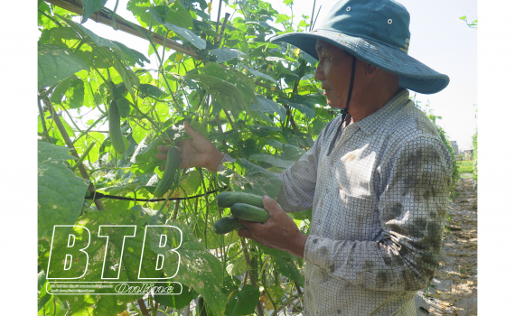 Ông nông dân ở Thái Bình có 30 mẫu ruộng, bán 950 tấn thóc, thu 4 tỷ đồng/năm - Ảnh 2.