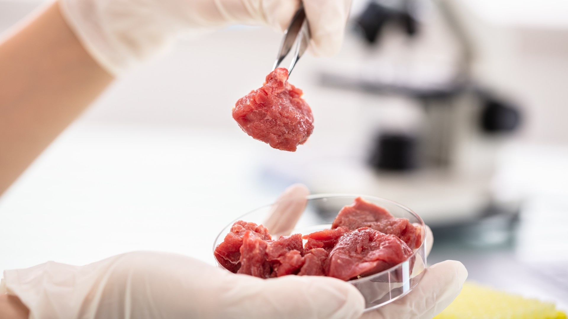 Phê duyệt loại thịt đầu tiên nuôi trong phòng thí nghiệm - Ảnh 2.