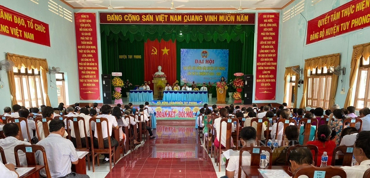 Bình Thuận: Bí thư Đảng ủy thị trấn Liên Hương trúng cử chức Chủ tịch Hội Nông dân huyện Tuy Phong nhiệm kỳ 2023-2028 - Ảnh 1.
