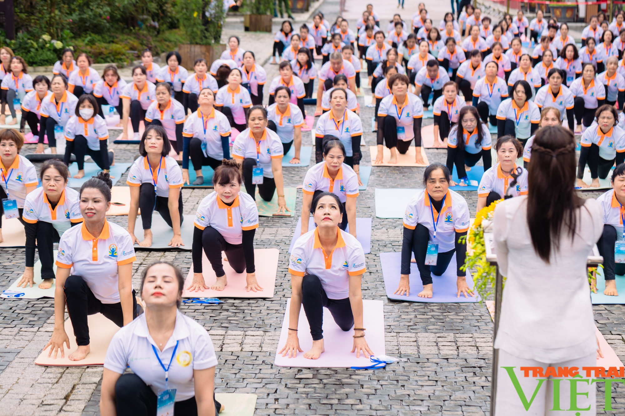 Ngày Quốc tế Yoga lần thứ 9: Tăng cường, mở rộng quan hệ hợp tác giữa 2 nước Việt Nam - Ấn Độ - Ảnh 1.