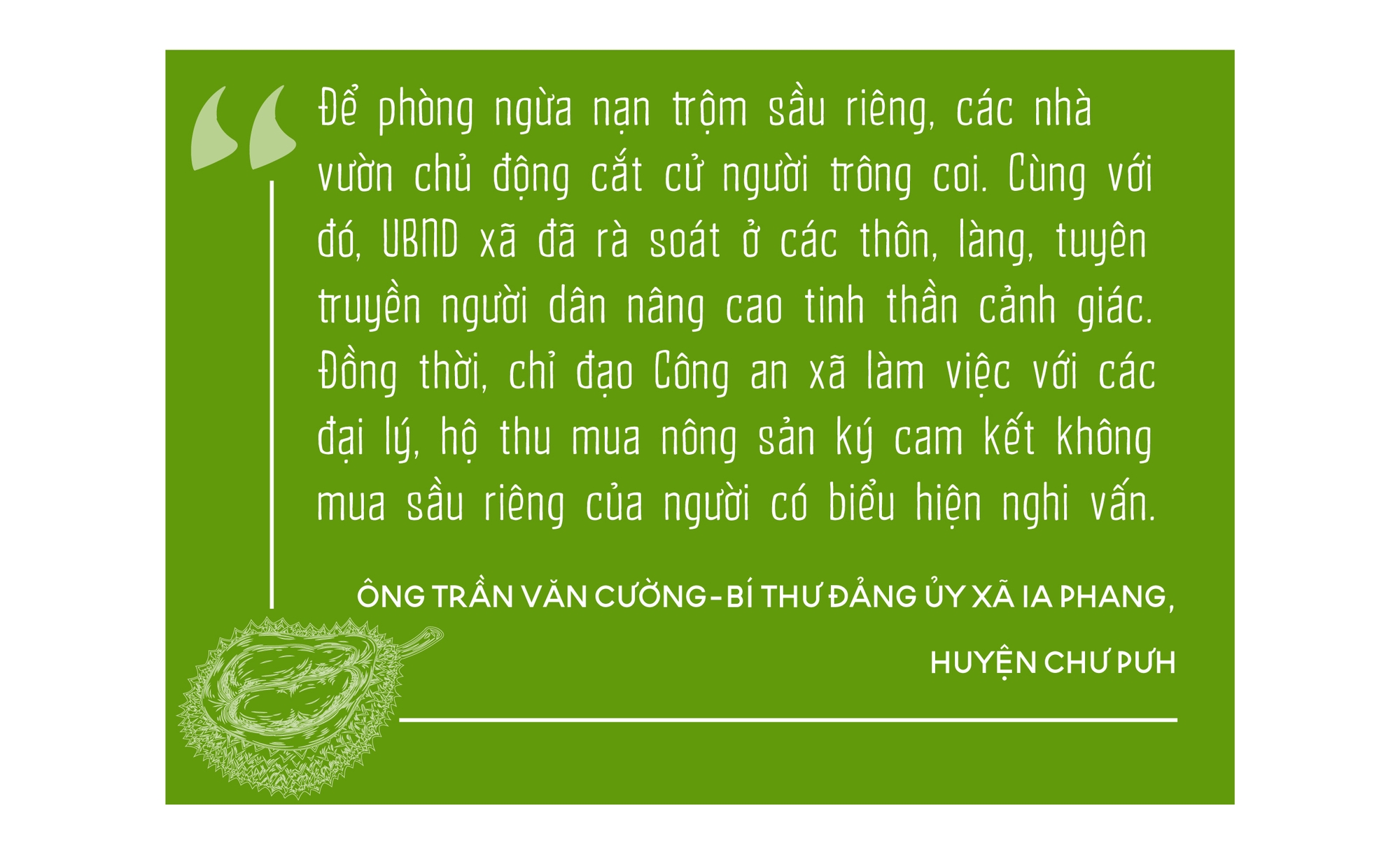 Gia Lai: Nhiều đối tượng xấu lẻn vào vườn sầu riêng bẻ quả non, nông dân thuê người canh giữ cả ngày lẫn đêm - Ảnh 8.