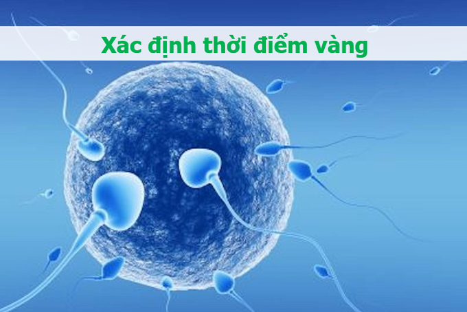 Làm 5 việc này sẽ giúp tăng cơ hội mang thai - Ảnh 1.