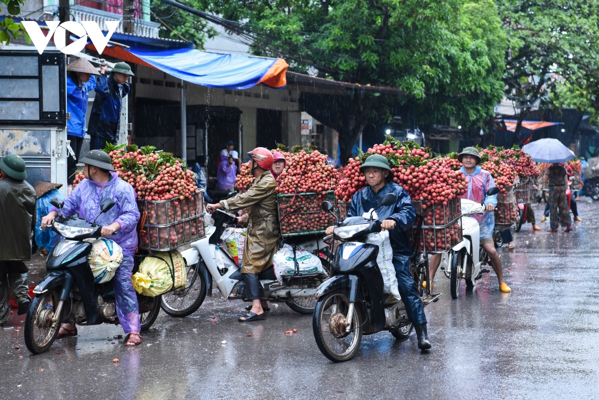 Vải thiều Lục Ngạn vào chính vụ, người dân đội mưa đi bán - Ảnh 2.