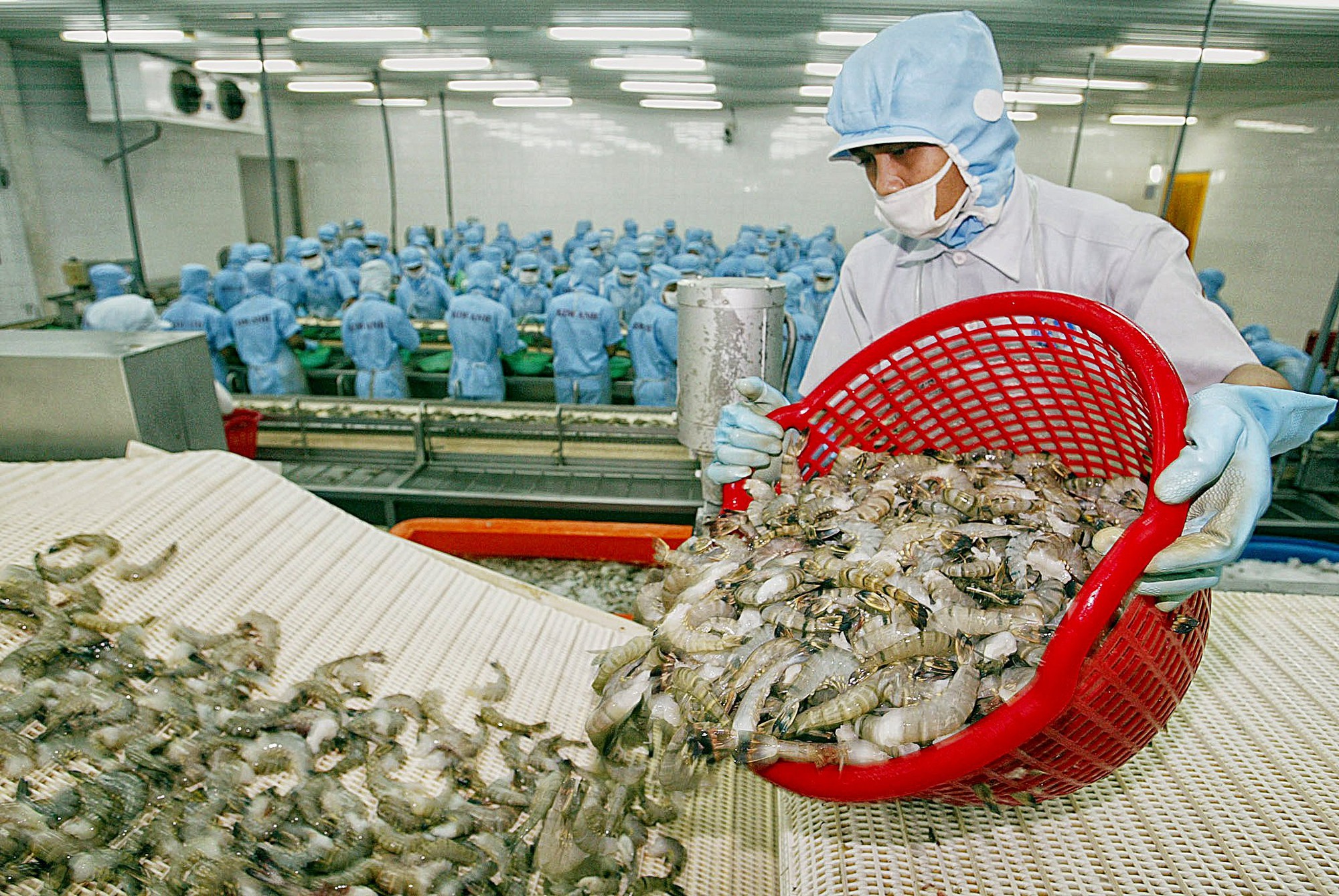 Mỹ, Trung Quốc, Nhật Bản quay lại mua cá, tôm của Việt Nam, trong tháng 5 bán được 808 triệu USD - Ảnh 1.