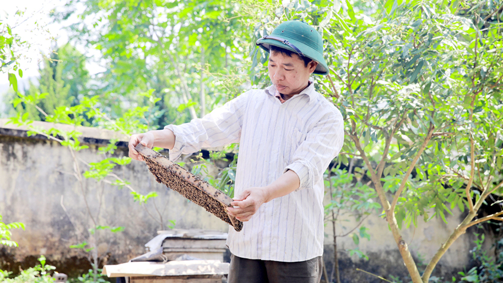 Làm cách nào mà một xã vùng cao của tỉnh Bắc Giang nâng gấp đôi thu nhập của người dân sau 7 năm? - Ảnh 1.