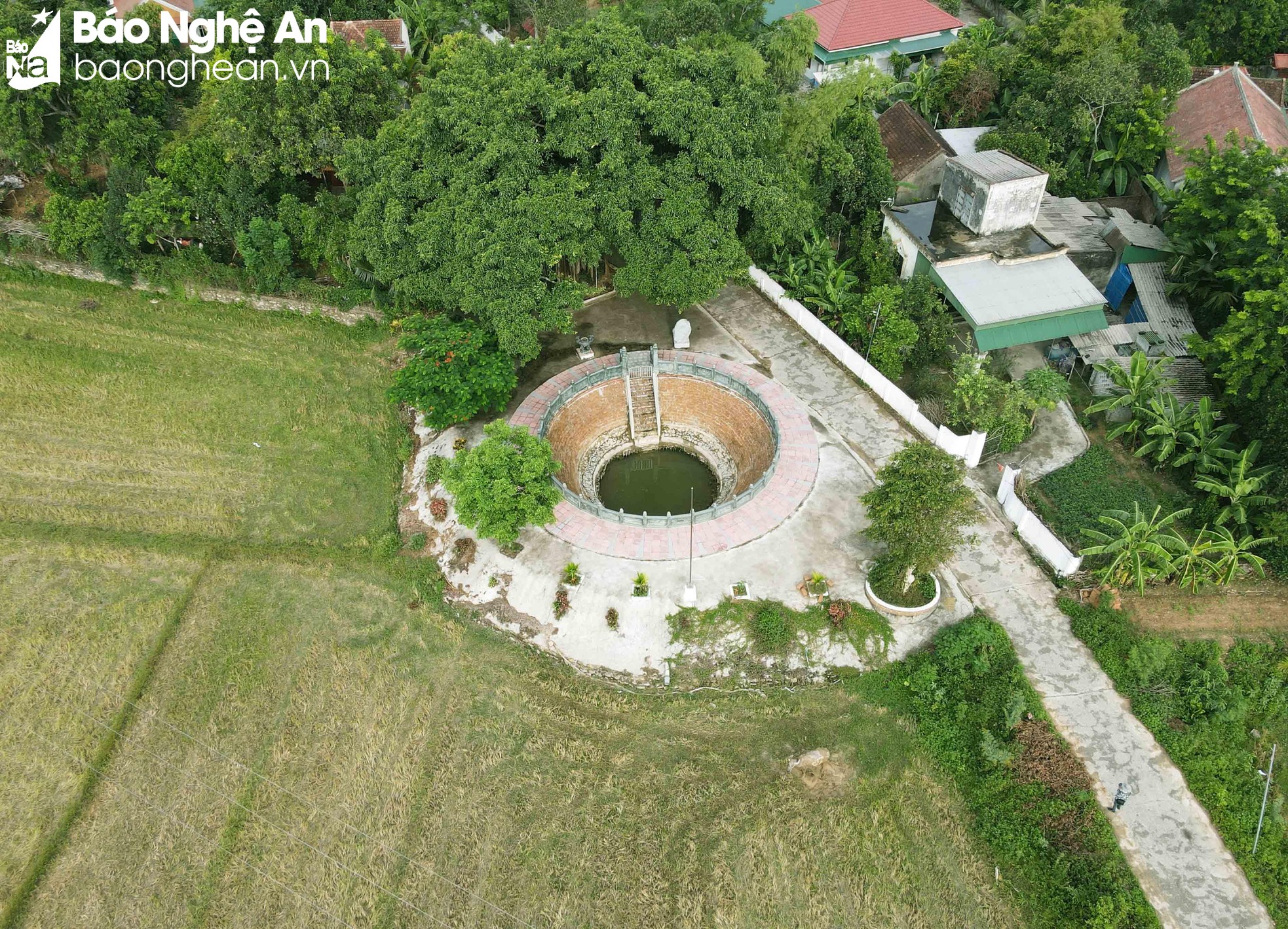 Giếng cổ ở một làng của Nghệ An to đẹp soi bóng cây đa cổ thụ hàng trăm năm tuổi - Ảnh 1.