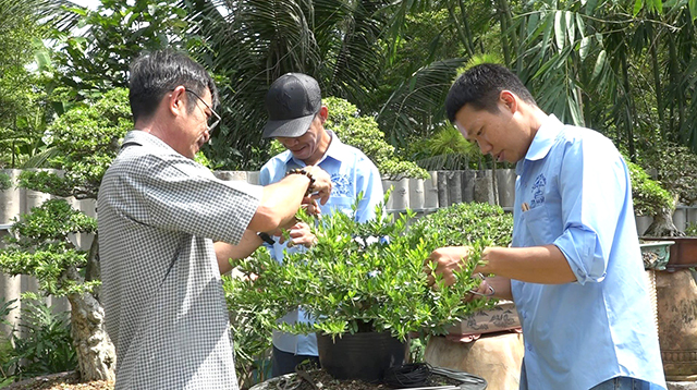 22 tuổi, hotboy ở Đồng Tháp đã trở thành nghệ nhân chuyên sửa kiểng bonsai - Ảnh 2.