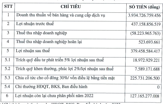 Đông Hải Bến Tre (DHC) dự trình kế hoạch lợi nhuận đạt 300 tỷ và hủy kế hoạch gọi vốn năm 2022 - Ảnh 2.