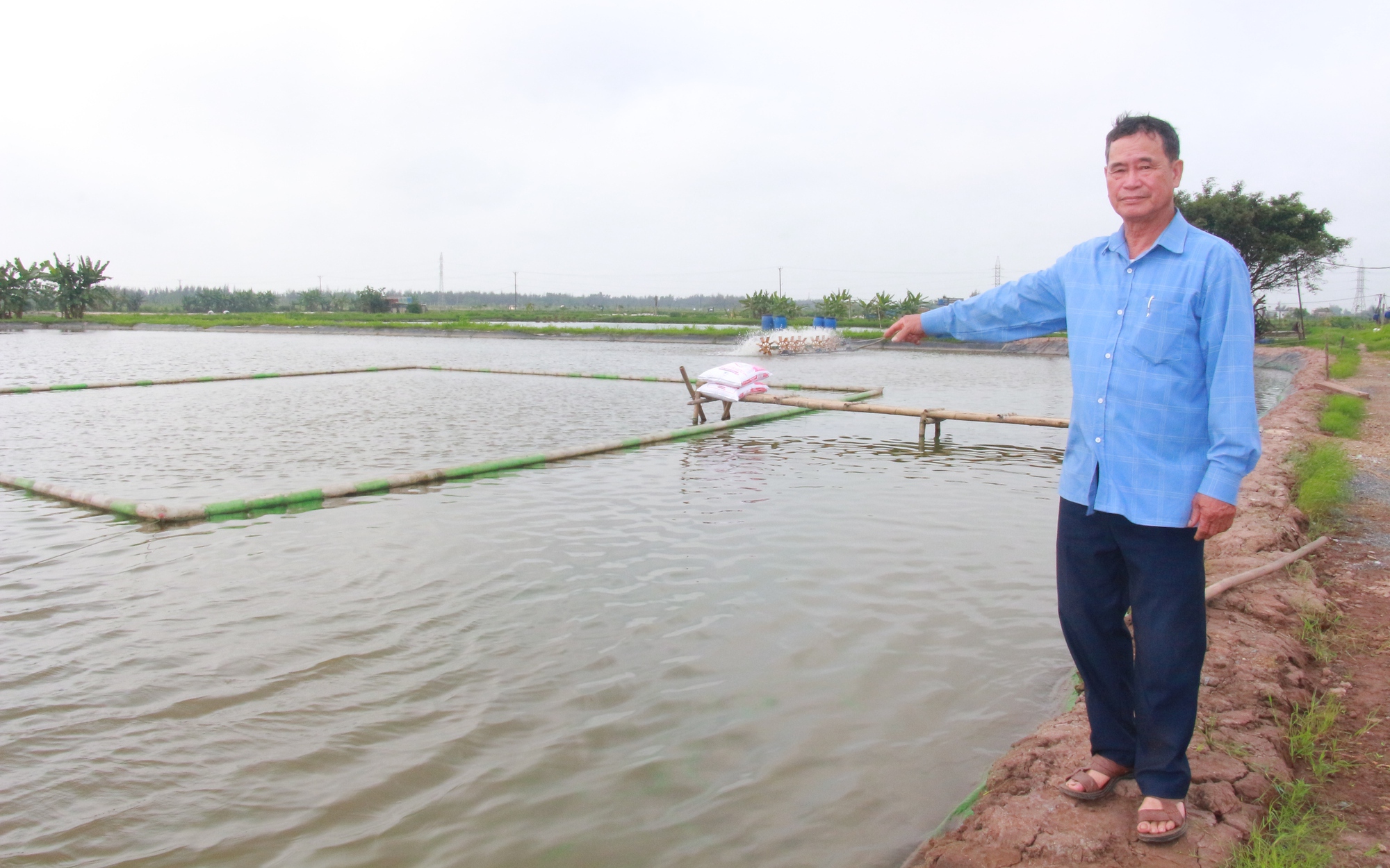 Ông Trùm ở Giáo xứ Xuân Dương Nam Định, làm giám đốc một HTX nuôi thủy sản có doanh thu 25 tỷ/năm