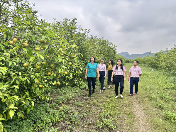 Mở đường phát triển chăn nuôi, làm du lịch ở Quỳ Hợp - Ảnh 1.