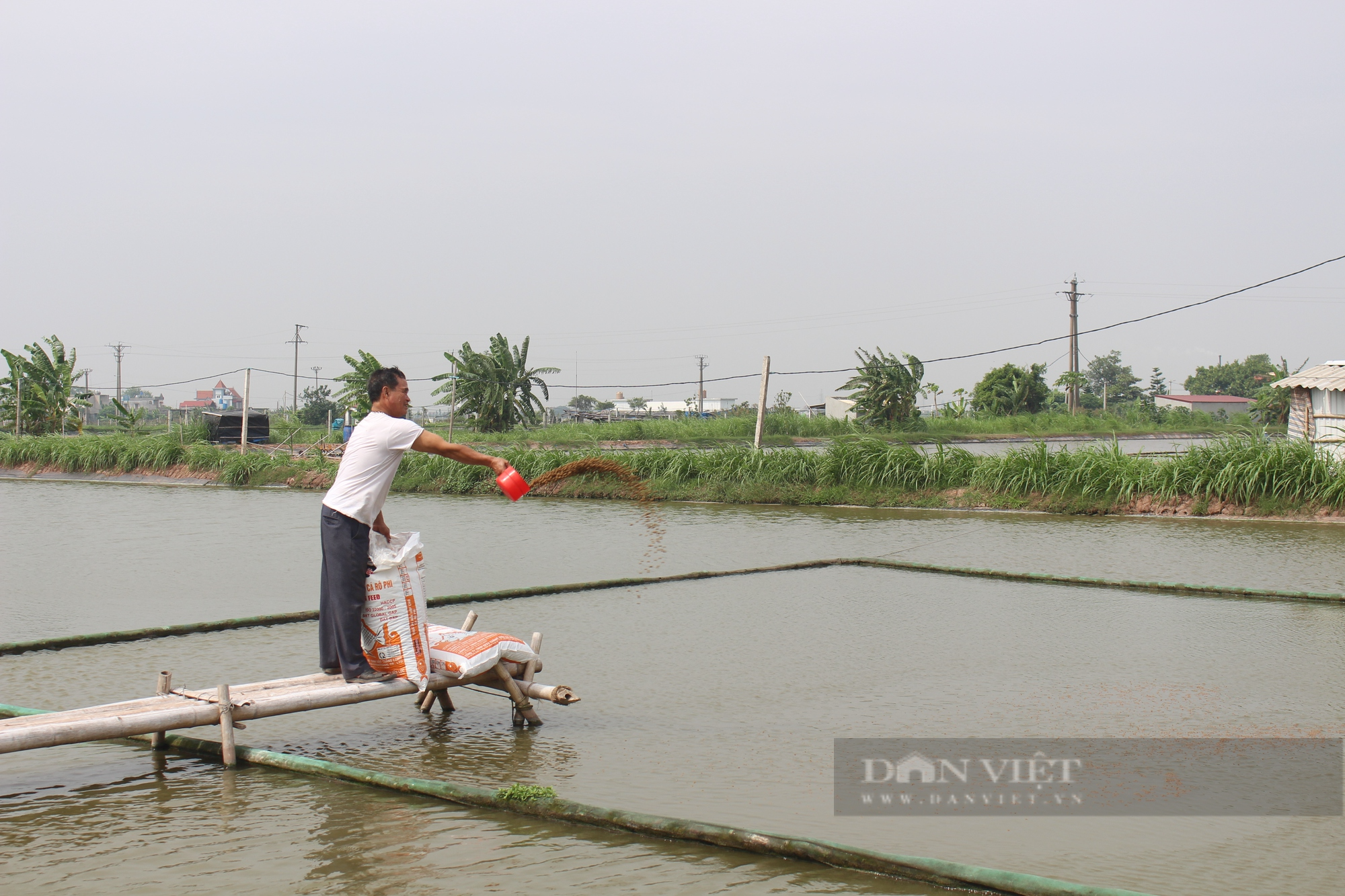 Nam Định: Ông Trùm Giáo xứ Xuân Dương hết mình vì công việc - Ảnh 4.