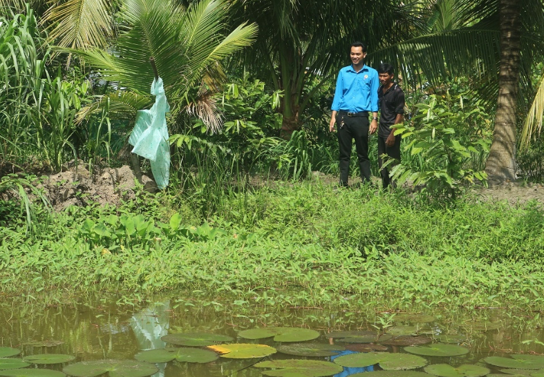 Nông dân sản xuất kinh doanh giỏi người Khmer ở Sóc Trăng thành công với mô hình trồng đa cây, nuôi đa con - Ảnh 1.