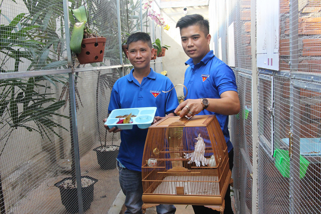 Cầm bằng cử nhân luật từ Sài Gòn về Đắk Lắk, chàng trai nuôi thứ chim đột biến bán đắt như vàng - Ảnh 2.