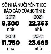 Quản lý nuôi chim yến hiệu quả để thu “vàng” - Ảnh 4.