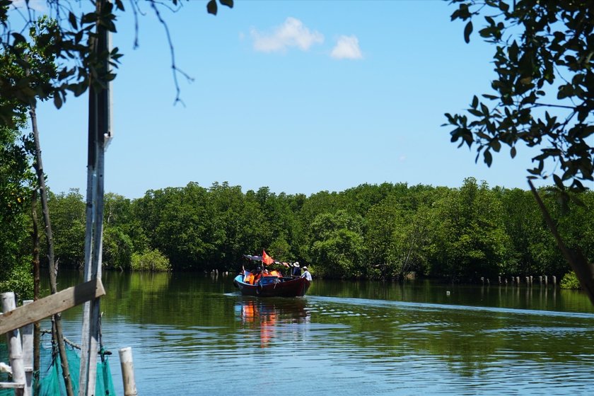 Đầm nước nổi tiếng đất Bình Định có một ốc đảo xanh, trên chim trời, dưới cá tôm, ai cũng muốn xem - Ảnh 2.