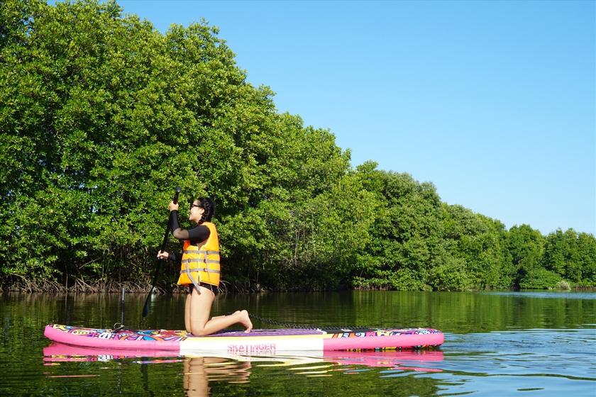 Đầm nước nổi tiếng đất Bình Định có một ốc đảo xanh, trên chim trời, dưới cá tôm, ai cũng muốn xem - Ảnh 6.