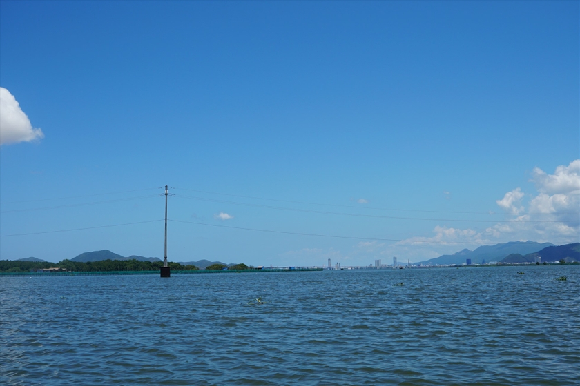 Đầm nước nổi tiếng đất Bình Định có một ốc đảo xanh, trên chim trời, dưới cá tôm, ai cũng muốn xem - Ảnh 9.