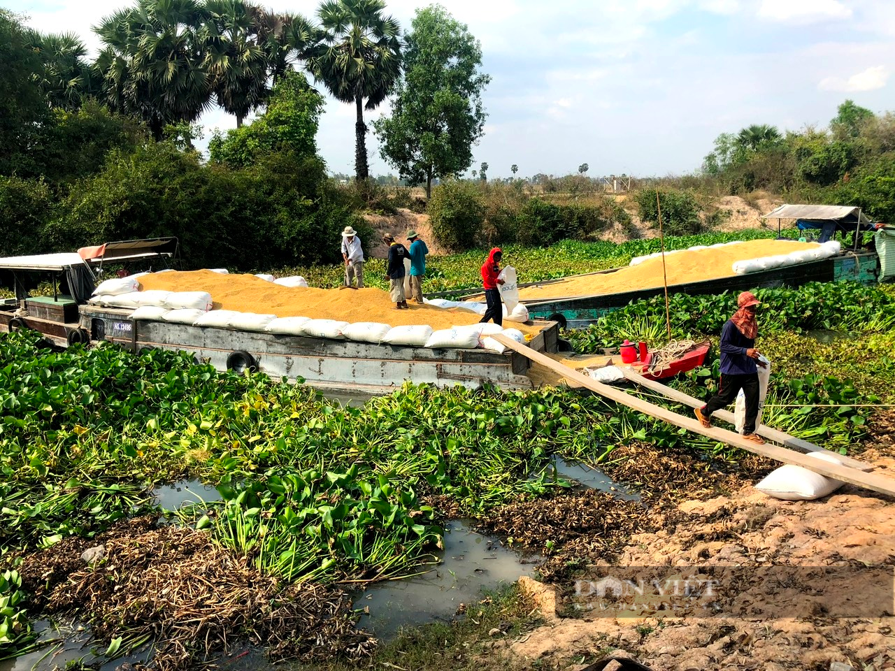 Bộ trưởng NNPTNT Lê Minh Hoan: Xây dựng hệ sinh thái cộng đồng cho nông nghiệp bền vững - Ảnh 4.