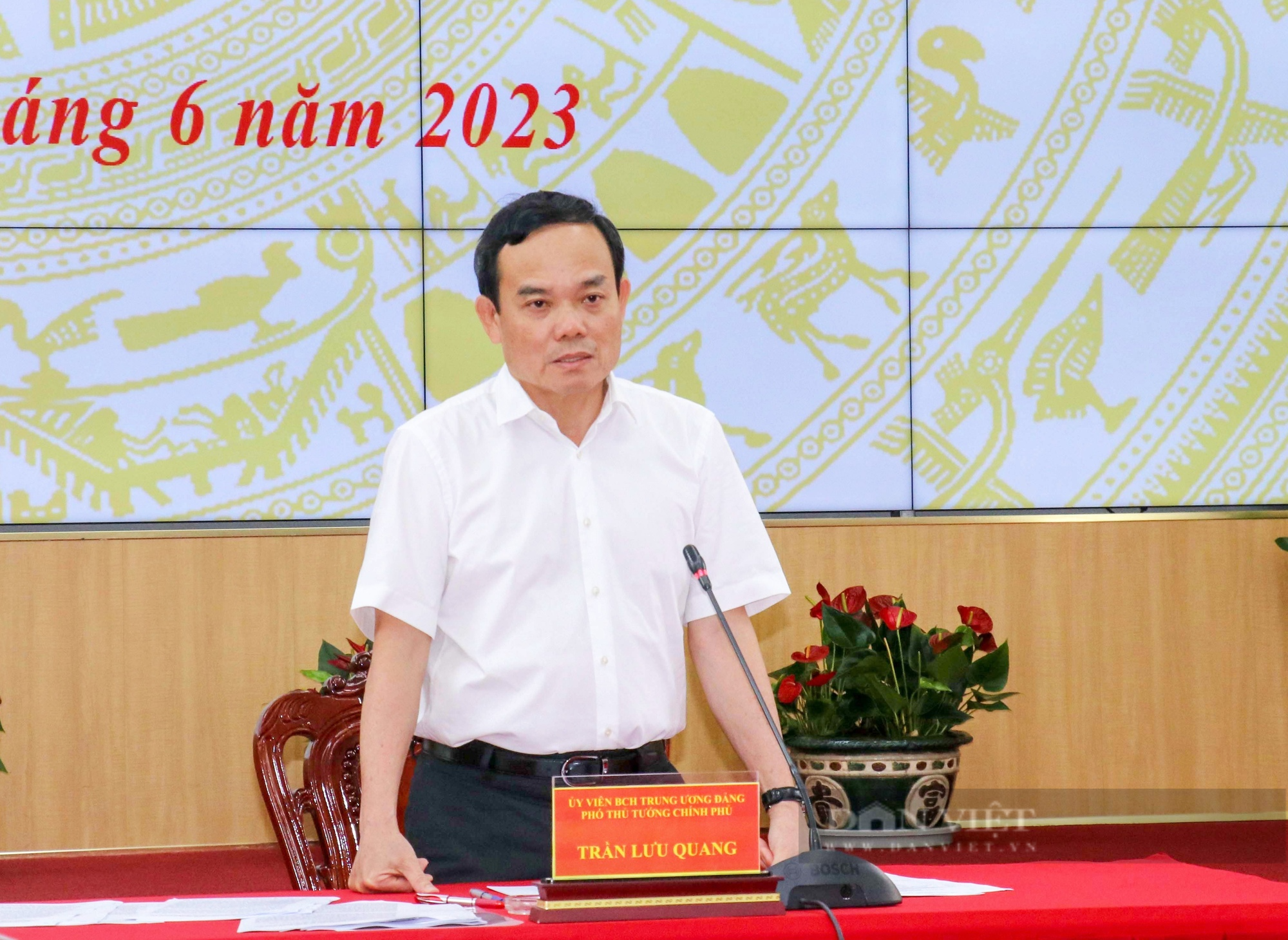 Phó Thủ tướng Trần Lưu Quang: Không để có một tàu khai thác thủy sản nào vi phạm ở nước ngoài nữa - Ảnh 1.