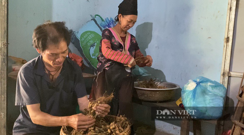 Sỹ tử người Mông ở Lai Châu và ước mơ vượt lên số phận nghiệt ngã - Ảnh 8.