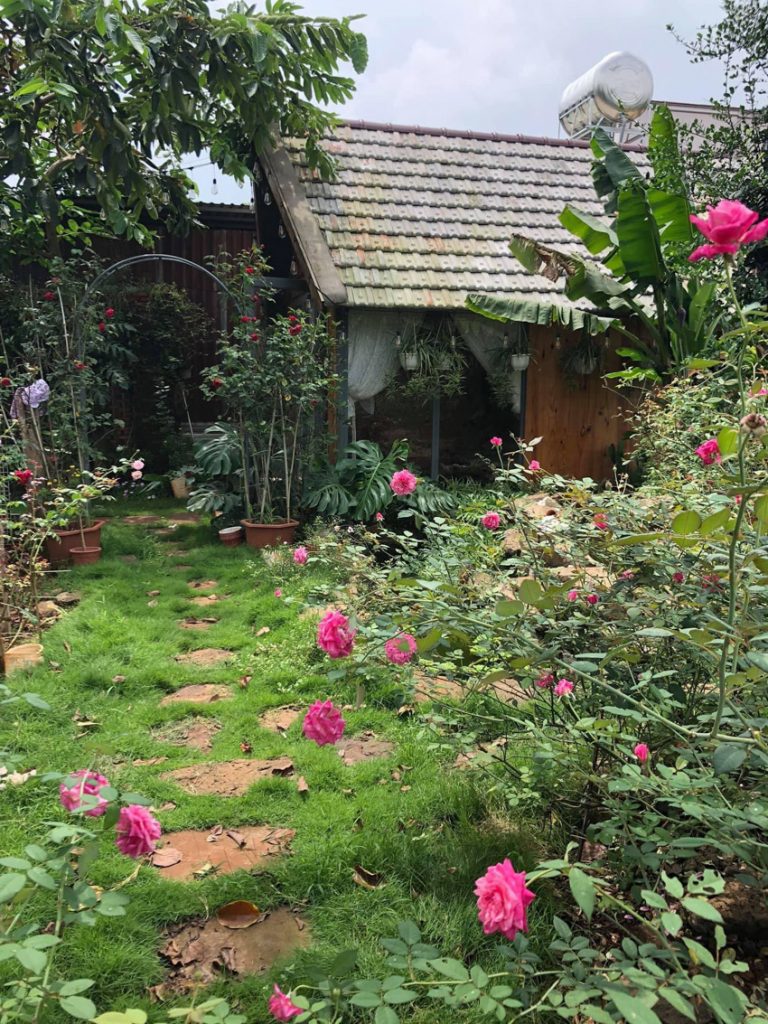 Vườn hoa hồng rực rỡ có ngôi nhà gỗ đẹp như mơ ở Bà Rịa-Vũng Tàu, xem ảnh ai cũng trầm trồ - Ảnh 5.