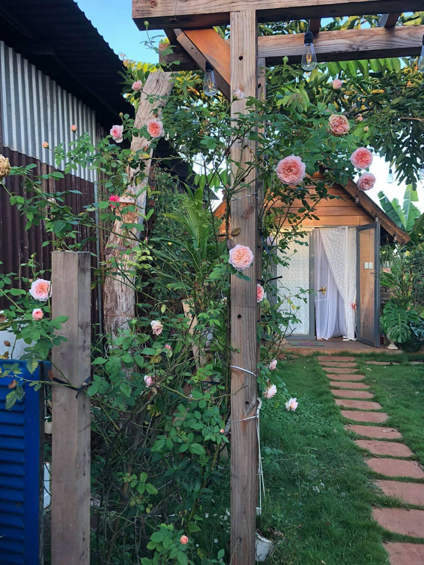 Vườn hoa hồng rực rỡ có ngôi nhà gỗ đẹp như mơ ở Bà Rịa-Vũng Tàu, xem ảnh ai cũng trầm trồ - Ảnh 2.