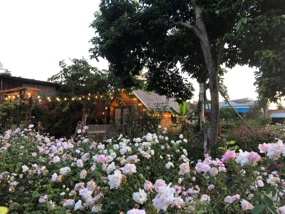 Vườn hoa hồng rực rỡ có ngôi nhà gỗ đẹp như mơ ở Bà Rịa-Vũng Tàu, xem ảnh ai cũng trầm trồ - Ảnh 12.