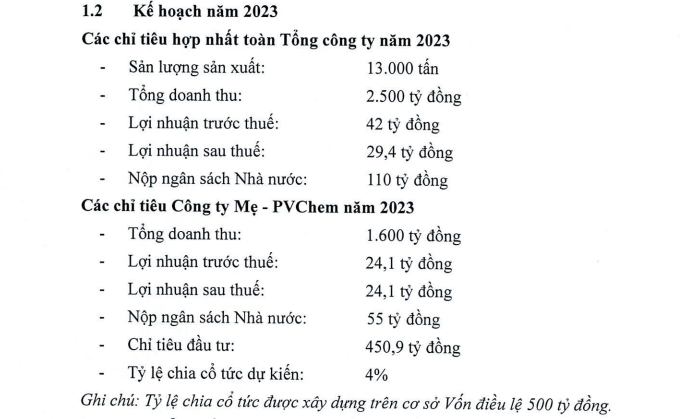 PVChem (PVC) phát hành và chào bán 31,2 triệu cổ phiếu, giá 10.000 đồng/CP - Ảnh 1.