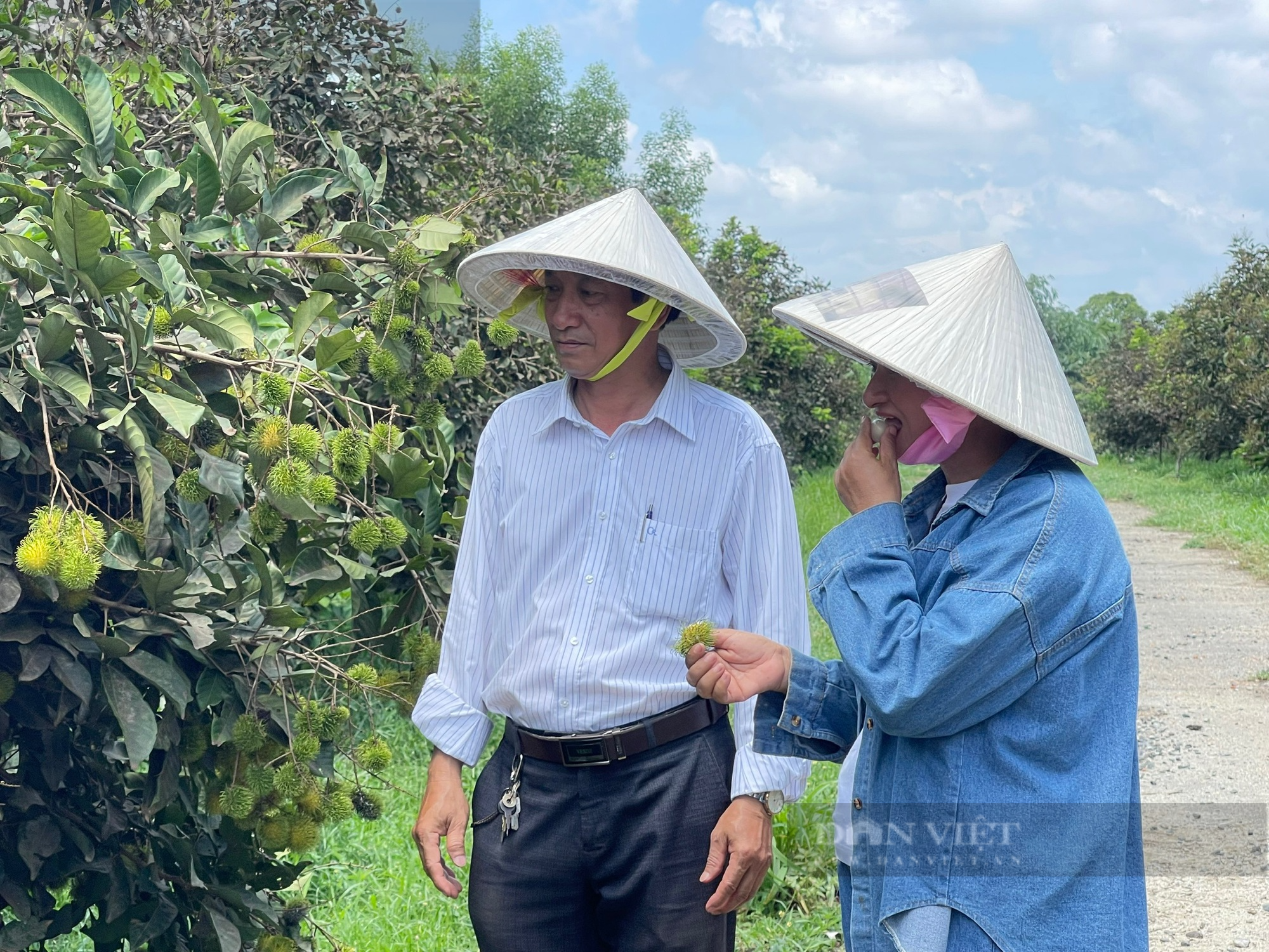 Nữ luật sư ở Đồng Nai trồng nho mẫu đơn, bí dứa…bán trái vào một siêu thị Nhật Bản, cung chưa đủ cầu - Ảnh 11.