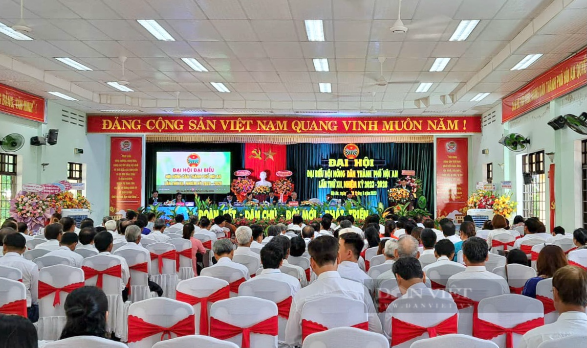 Quảng Nam: Ông Nguyễn Anh tái đắc cử chức Chủ tịch Hội Nông dân TP.Hội An - Ảnh 1.