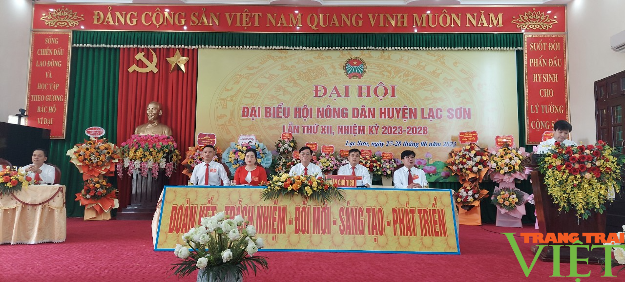 Hòa Bình: Ông Đinh Văn Toán trúng cử chức Chủ tịch Hội Nông dân huyện Lạc Sơn - Ảnh 1.