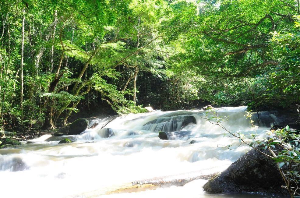 Khu Bảo tồn thiên nhiên Nam Nung: Phát triển du lịch gắn với bảo tồn hệ sinh thái rừng - Ảnh 2.