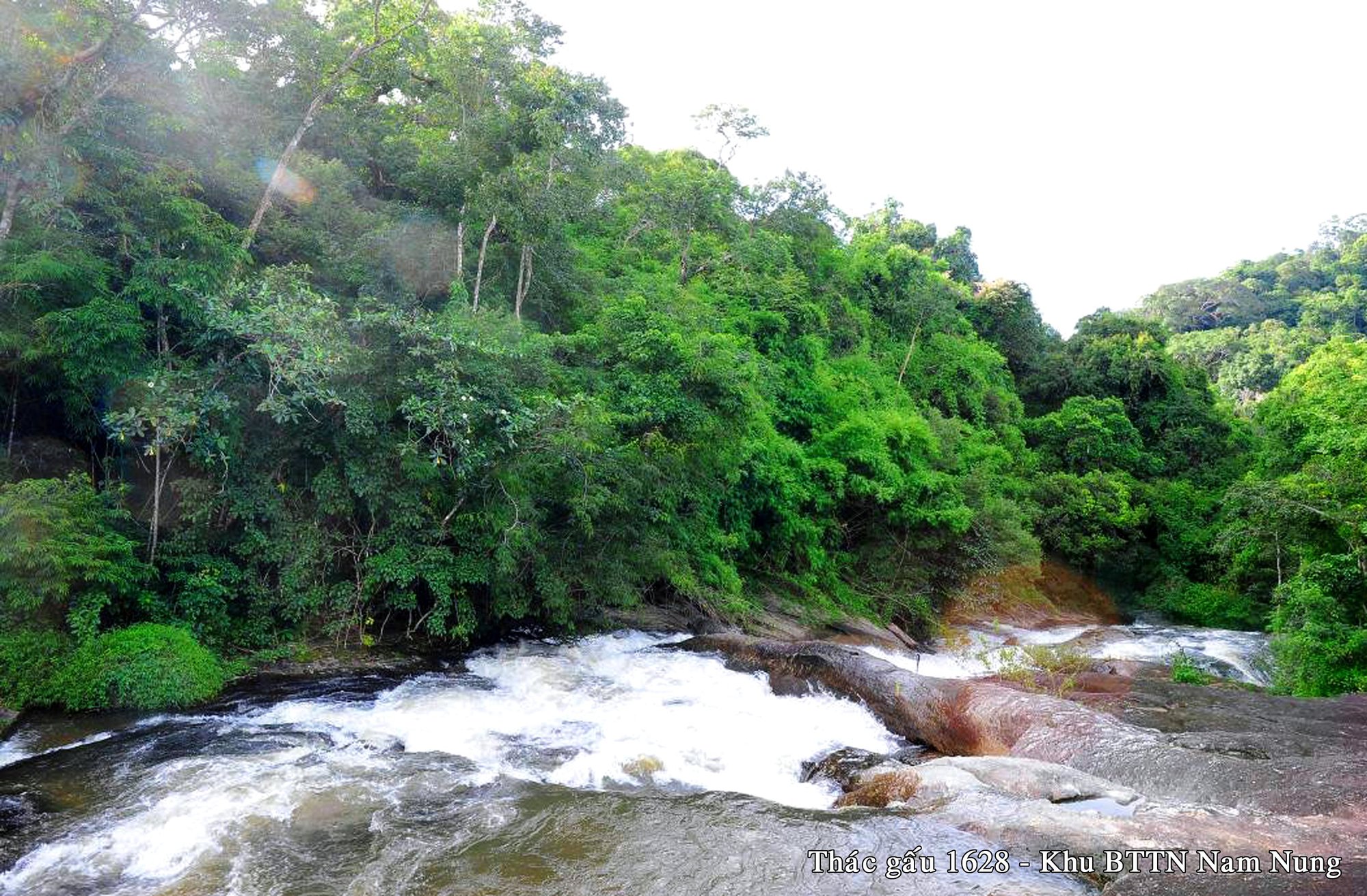Khu Bảo tồn thiên nhiên Nam Nung: Phát triển du lịch gắn với bảo tồn hệ sinh thái rừng - Ảnh 3.