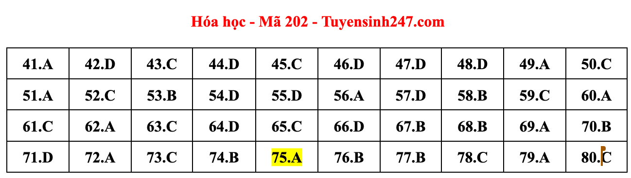 Cập nhật gợi ý đáp án đề thi môn Vật lý, Hóa học, Sinh học tốt nghiệp THPT năm 2023 theo mã đề nhanh nhất - Ảnh 7.