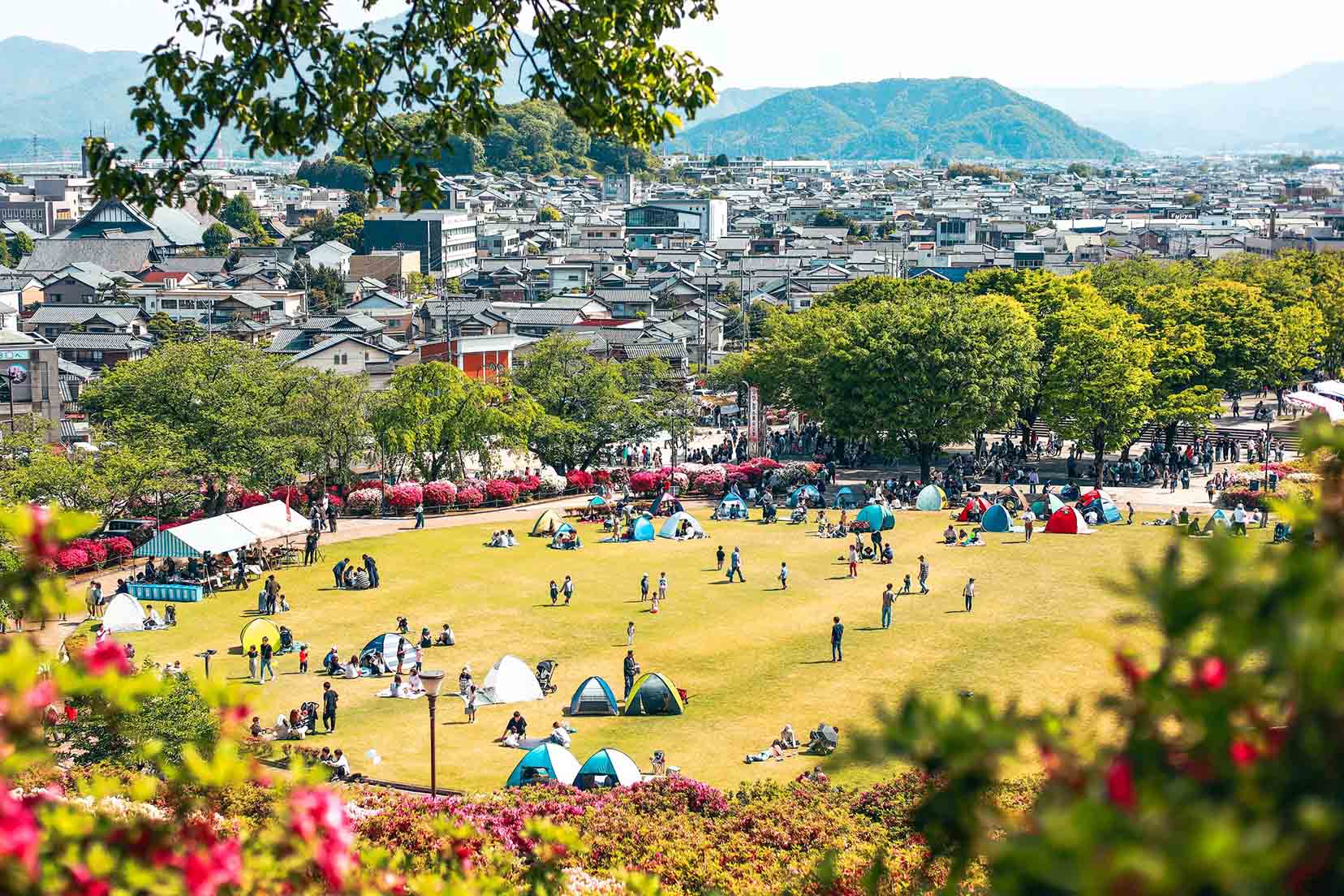 Công viên có hơn 50.000 cây đỗ quyên bung nở hoa ở Nhật Bản - Ảnh 8.