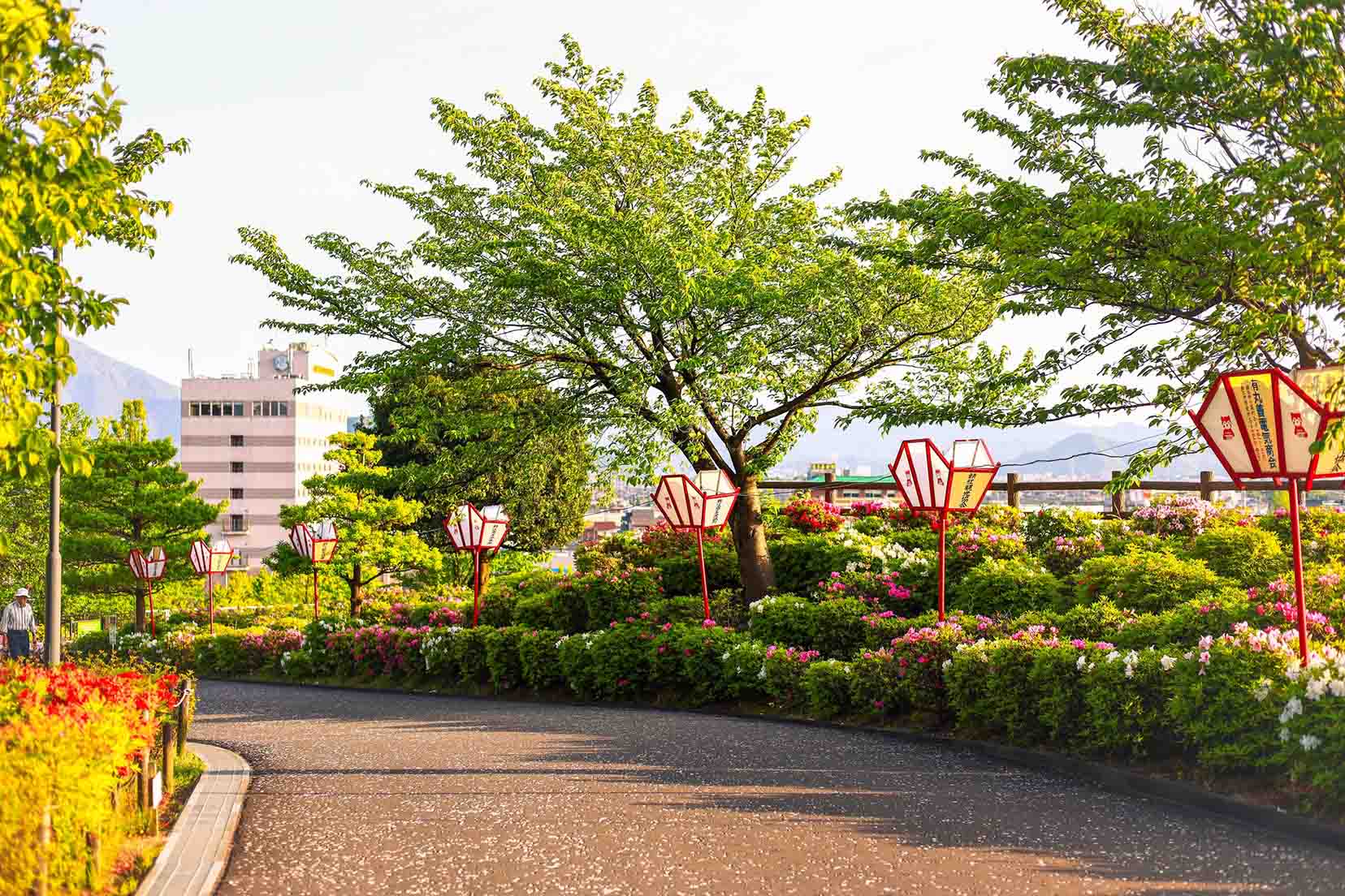 Công viên có hơn 50.000 cây đỗ quyên bung nở hoa ở Nhật Bản - Ảnh 4.