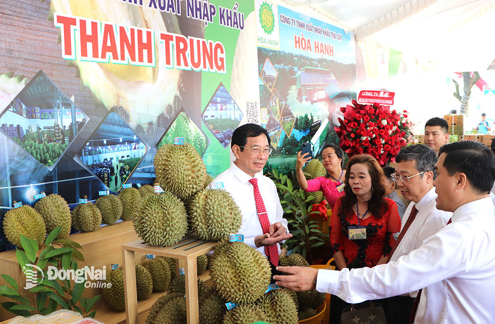 Đồng Nai: Diện tích trồng sầu riêng tăng nhanh, tìm cách tiêu thụ sang thị trường lớn nhất thế giới - Ảnh 1.